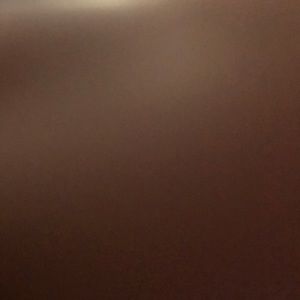 Meet your Posher, Bella